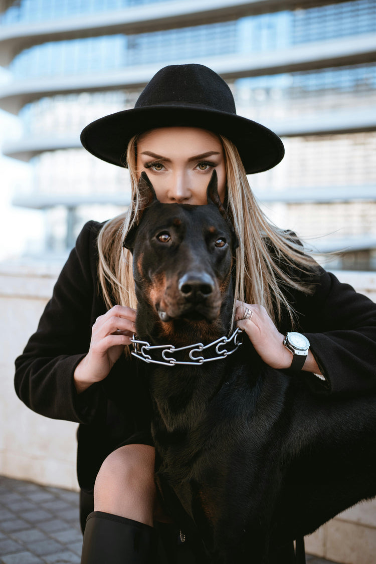 PET ESSENTIALS UNDER $50
