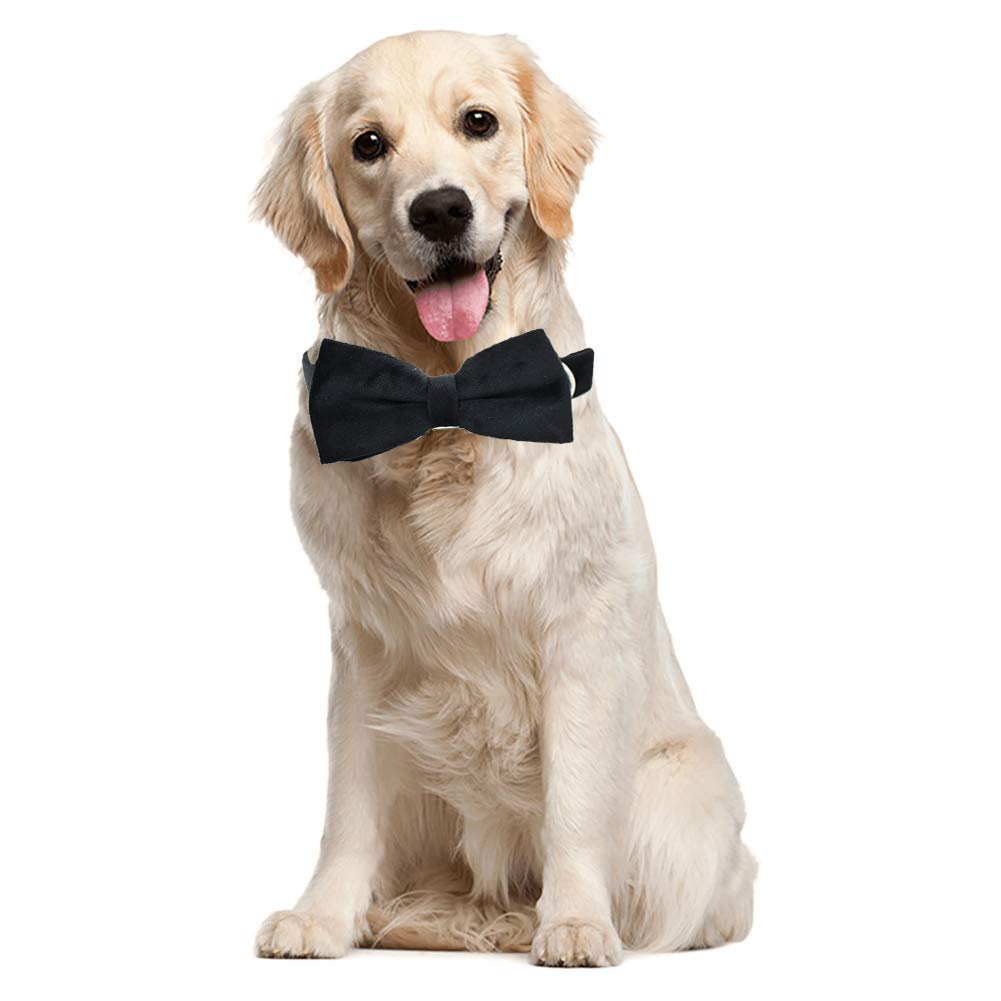 Minimalist Black Detachable Bowtie, Adjustable Dog Collar w/Metal Buckle