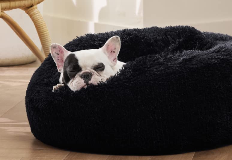 dog beds & furniture, cat beds & furniture, pet beds & furniture