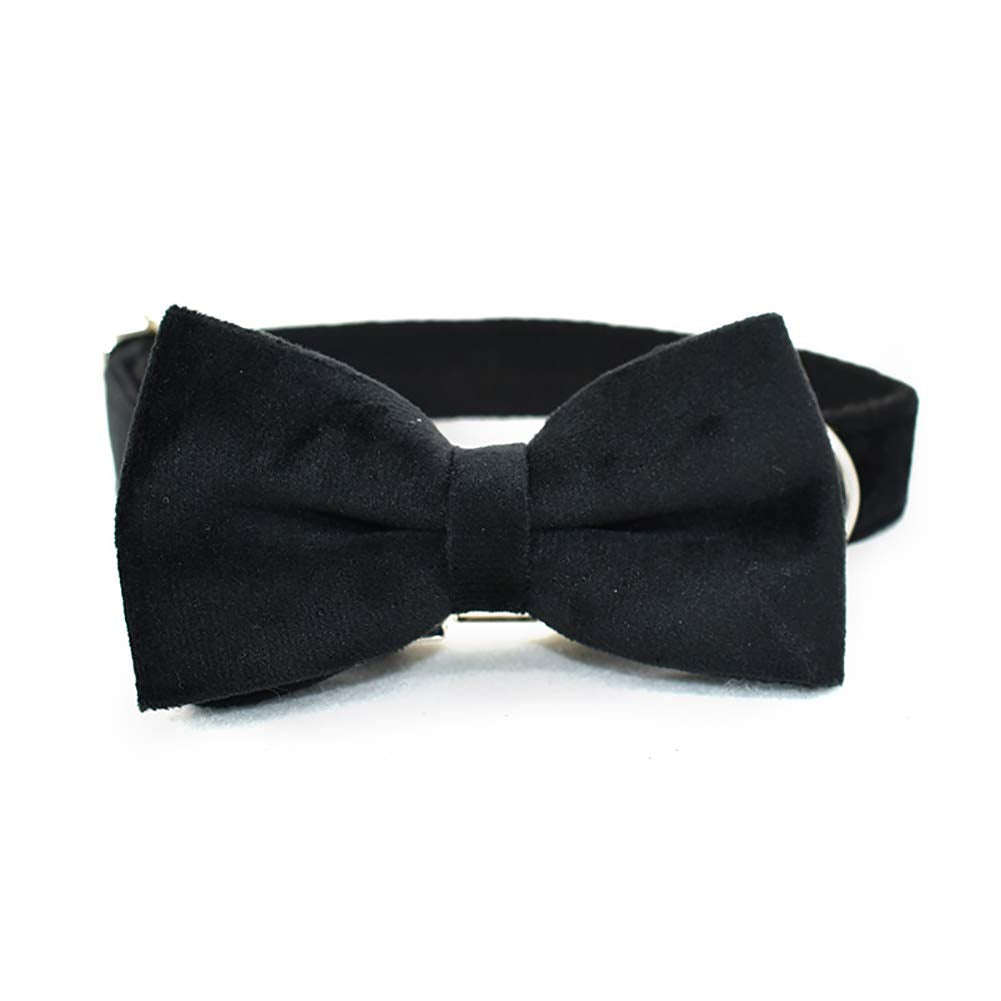 Minimalist Black Detachable Bowtie, Adjustable Dog Collar w/Metal Buckle