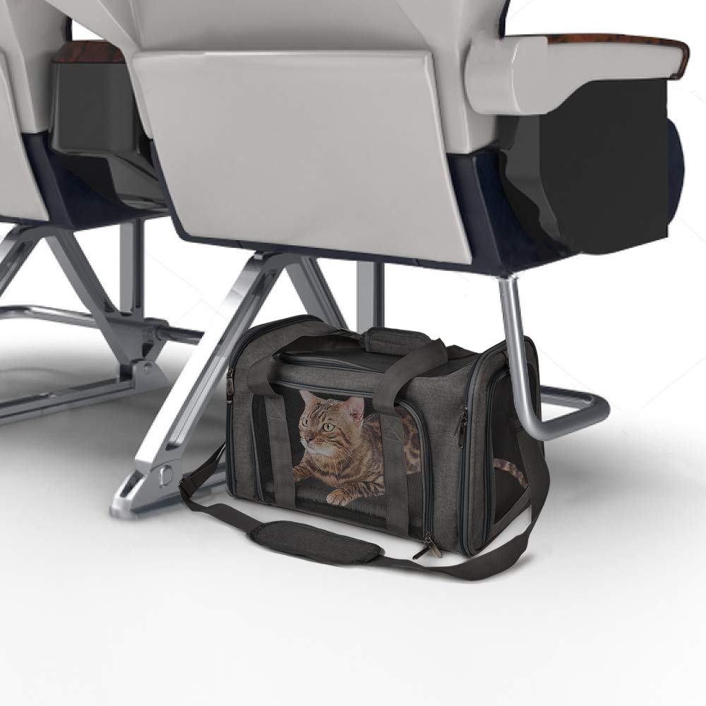Minimalist Black Pet Carrier for Small, Medium Pets up to 15 Lbs, TSA Airline Approved