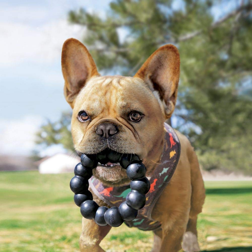 Minimalist Black Kong Company Extreme Ring Dog Toy