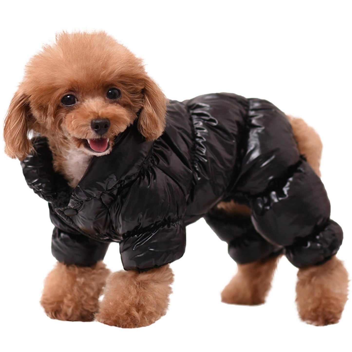 Minimalist Black Waterproof Jacket for Small Dogs