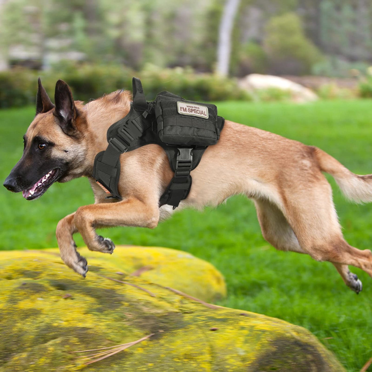 Minimalist Black Tactical Dog Harness for Large Dogs