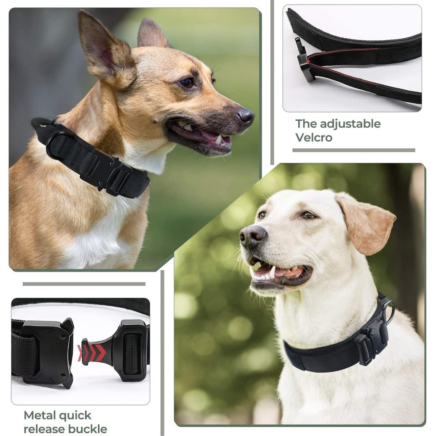 Minimalist Black Adjustable Heavy Duty Nylon Collar w/Quick Release Metal Buckle for Small, Medium, Large Dogs
