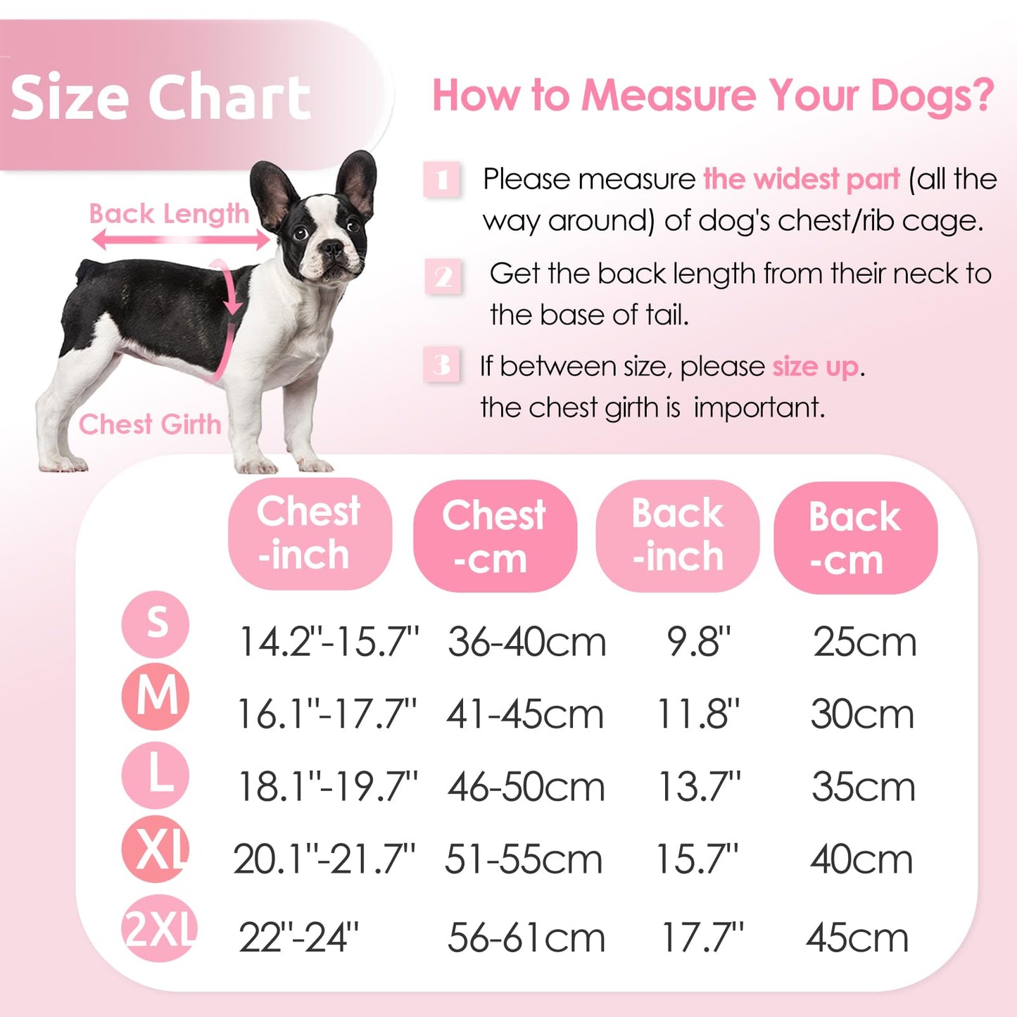 Minimalist Black Waterproof Jacket for Small Dogs