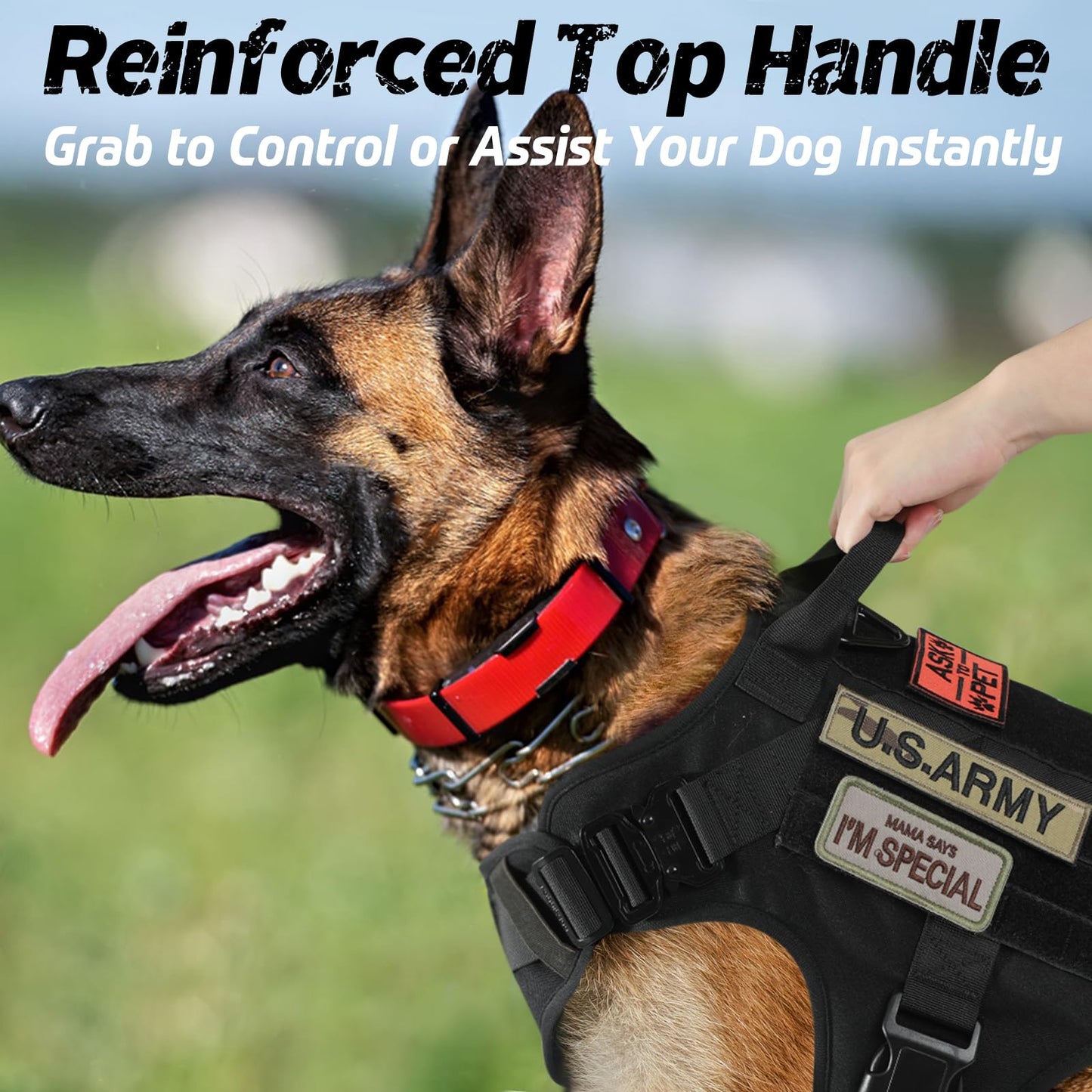 Minimalist Black Tactical Dog Harness for Large Dogs