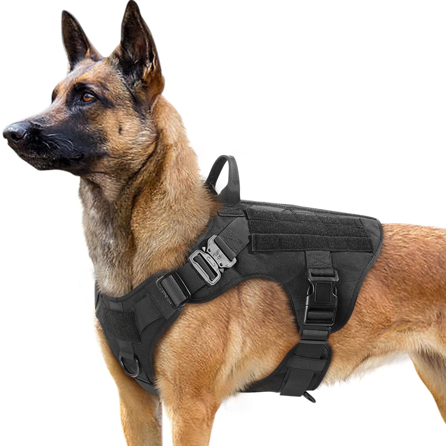 Minimalist Black Tactical Dog Harness for Large Dogs