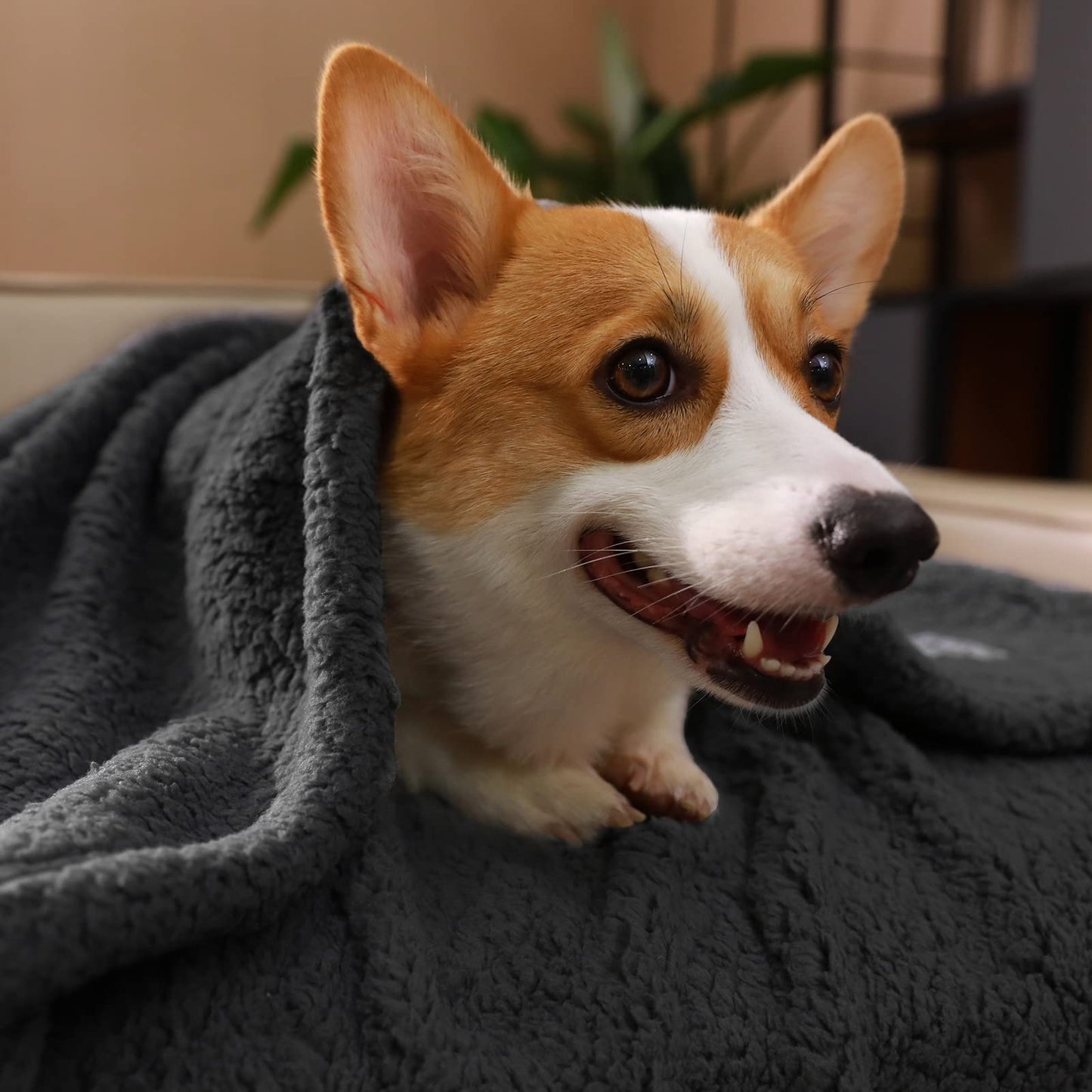 Minimalist Black Premium Sherpa 30"x20" Pet Blanket, Set of 3