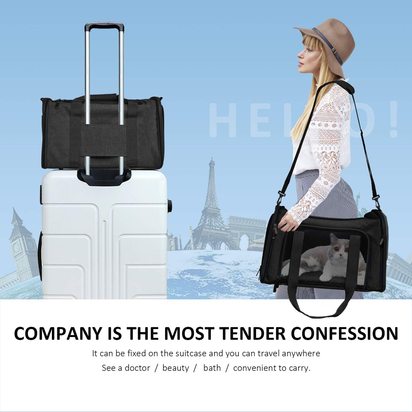 Minimalist Black Pet Carrier for Small, Medium Pets up to 15 Lbs, TSA Airline Approved