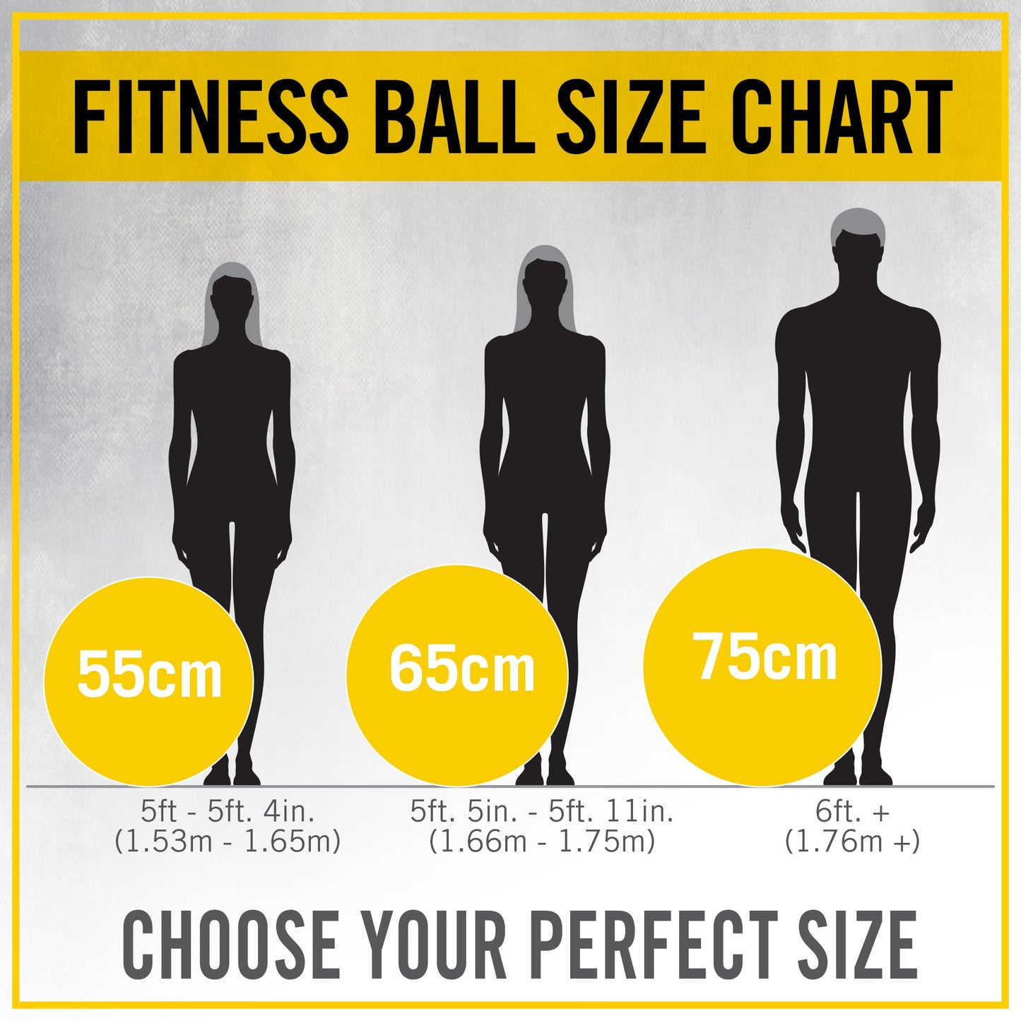 Minimalist Black Everlast FIT Pro Grip 65cm Fitness Ball