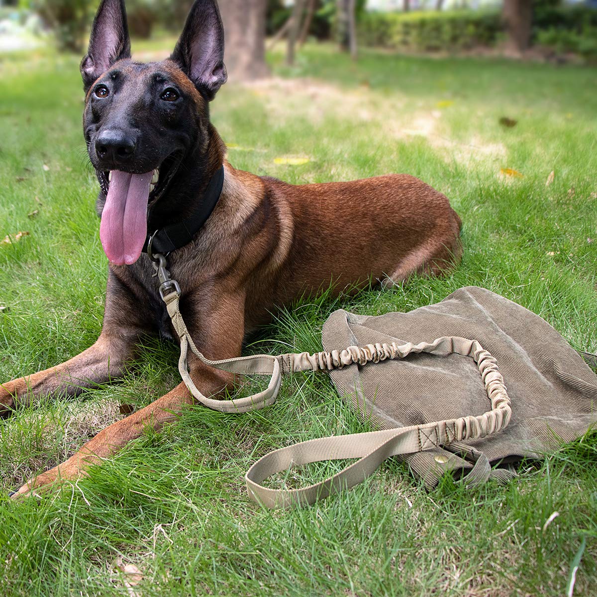 Minimalist Black Tactical Training Bungee Leash, Quick Release Buckle w/Control Handle